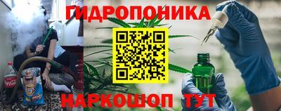 индика Гусиноозёрск