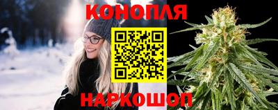 индика Гусиноозёрск