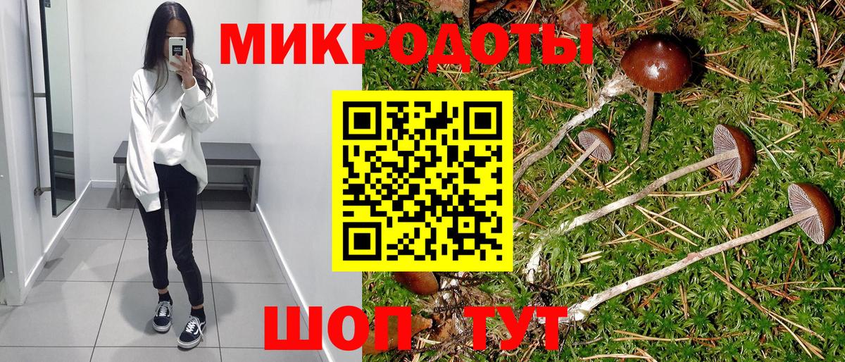 Псилоцибиновые грибы GOLDEN TEACHER Волжский